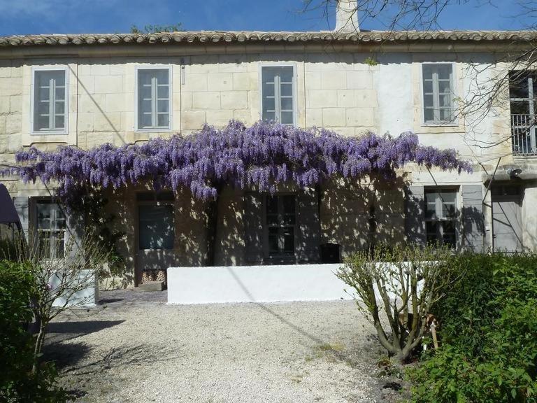 Mas De La Forge Villa Arles Bagian luar foto